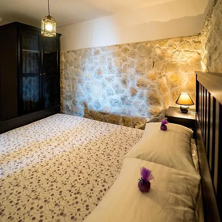Ziggy Trogir