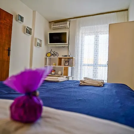 Ziggy Guest house *