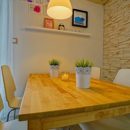 Ziggy Guest house